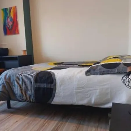 Appartement Au Fagot De Frenes Gerardmer